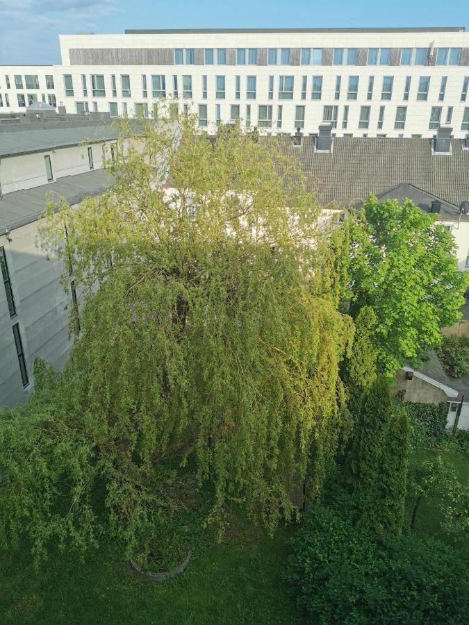 Kongensgate, Koselig Liten Leilighet, 5 Min Unna Sentrum Kristiansand Esterno foto